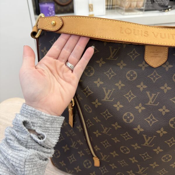 Louis Vuitton Monogram Delightful GM