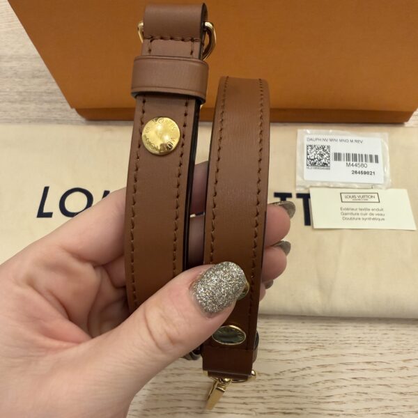 Louis Vuitton Reverse Monogram Dauphine Mini