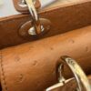 Christian Dior Ostrich Lady Dior Small Caramel Gold Hardware