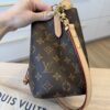 Louis Vuitton Monogram Néonoé BB