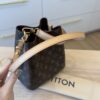 Louis Vuitton Monogram Néonoé BB