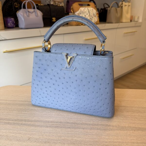 Louis Vuitton Ostrich Capucines BB