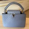 Louis Vuitton Ostrich Capucines BB