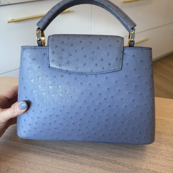 Louis Vuitton Ostrich Capucines BB