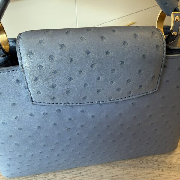 Louis Vuitton Ostrich Capucines BB