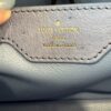 Louis Vuitton Ostrich Capucines BB