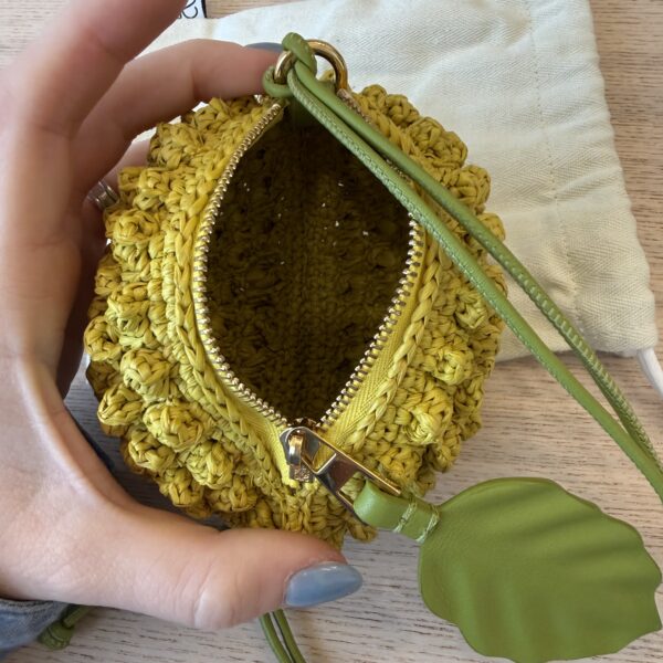 Loewe x Paula's Ibiza 4FA Lemon Raffia Coin Case