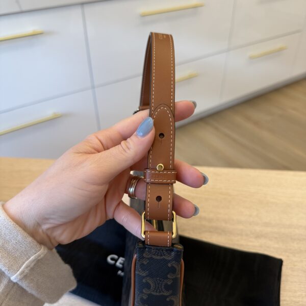 Celine Ava Bag in Triomphe Canvas and Calfskin