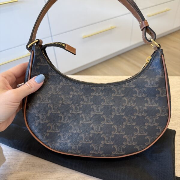 Celine Ava Bag in Triomphe Canvas and Calfskin
