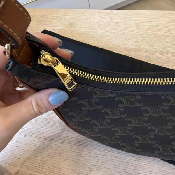 Celine Ava Bag in Triomphe Canvas and Calfskin