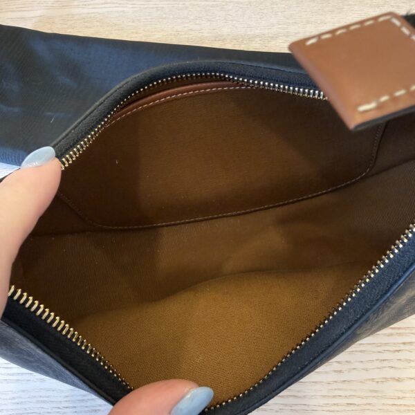 Celine Ava Bag in Triomphe Canvas and Calfskin