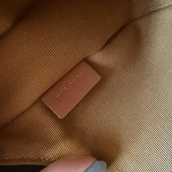 Celine Ava Bag in Triomphe Canvas and Calfskin