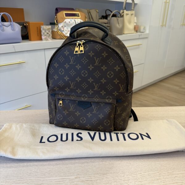 Louis Vuitton Monogram Palm Springs Backpack MM