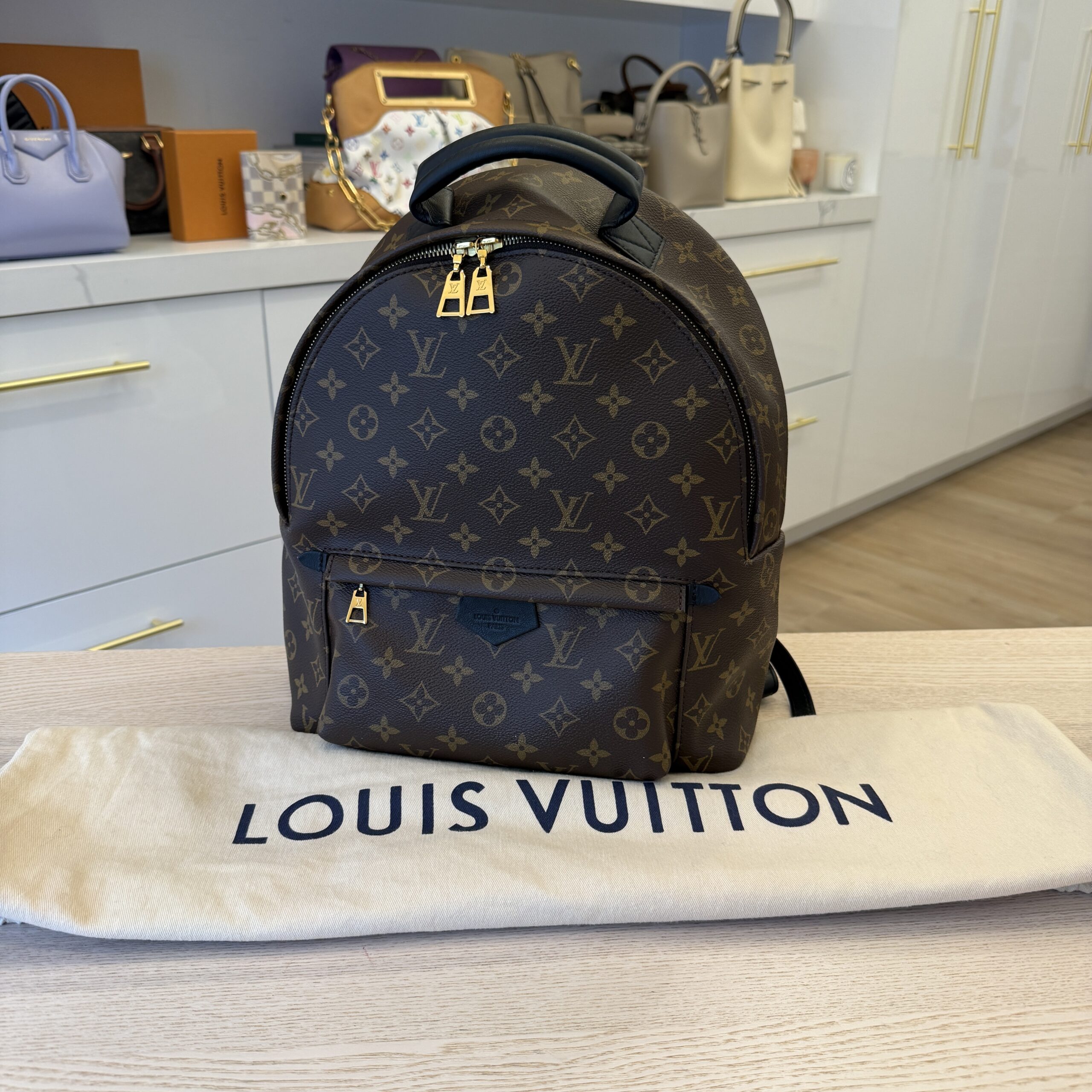 Louis Vuitton Monogram Palm Springs Backpack MM
