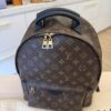 Louis Vuitton Monogram Palm Springs Backpack MM