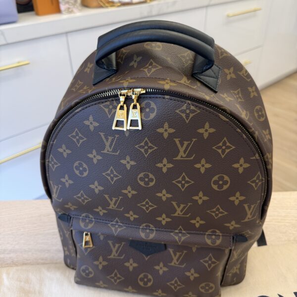 Louis Vuitton Monogram Palm Springs Backpack MM