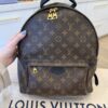 Louis Vuitton Monogram Palm Springs Backpack MM