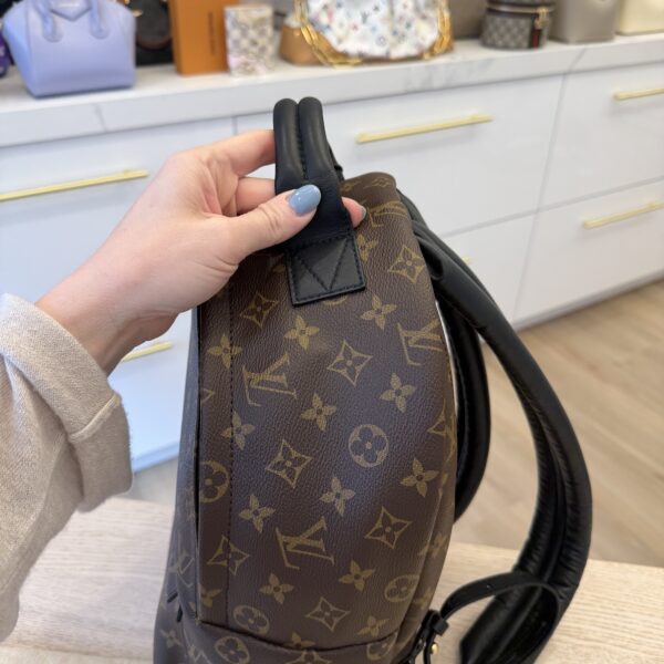 Louis Vuitton Monogram Palm Springs Backpack MM