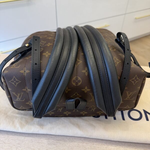 Louis Vuitton Monogram Palm Springs Backpack MM