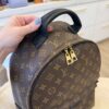Louis Vuitton Monogram Palm Springs Backpack MM