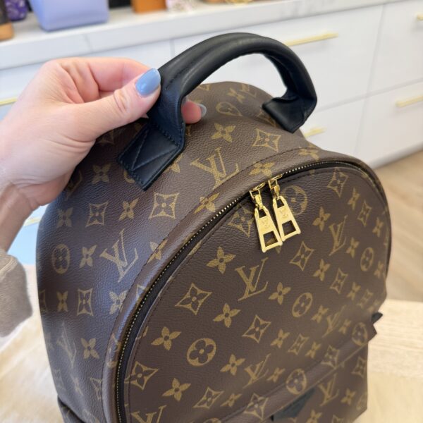 Louis Vuitton Monogram Palm Springs Backpack MM
