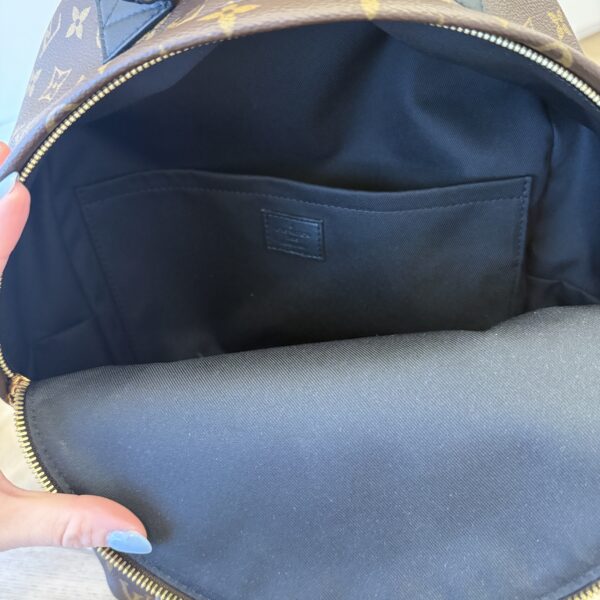 Louis Vuitton Monogram Palm Springs Backpack MM