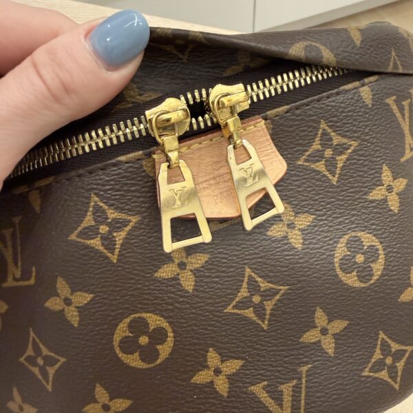 Louis Vuitton Monogram Bumbag