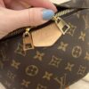 Louis Vuitton Monogram Bumbag