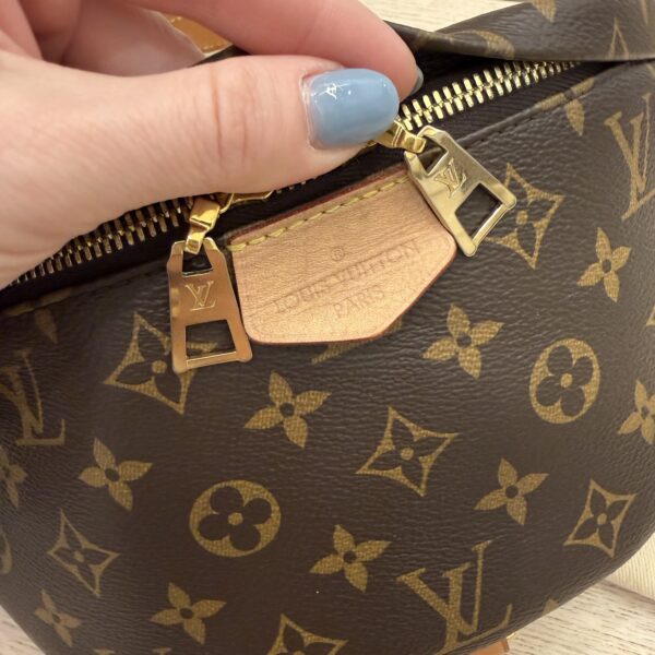 Louis Vuitton Monogram Bumbag