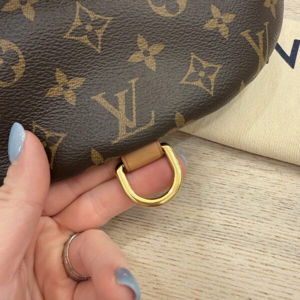 Louis Vuitton Monogram Bumbag