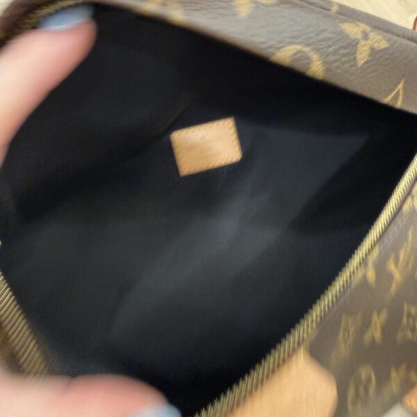 Louis Vuitton Monogram Bumbag