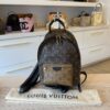 Louis Vuitton Reverse Monogram Palm Springs Backpack PM