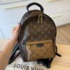 Louis Vuitton Reverse Monogram Palm Springs Backpack PM