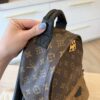 Louis Vuitton Reverse Monogram Palm Springs Backpack PM
