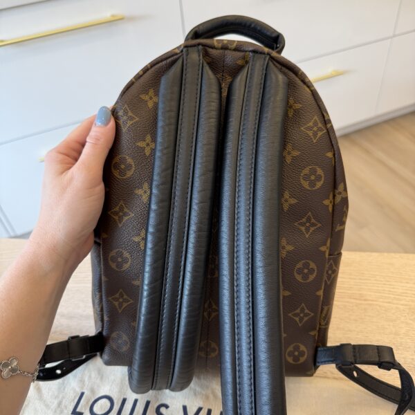 Louis Vuitton Reverse Monogram Palm Springs Backpack PM