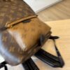 Louis Vuitton Reverse Monogram Palm Springs Backpack PM