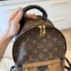 Louis Vuitton Reverse Monogram Palm Springs Backpack PM
