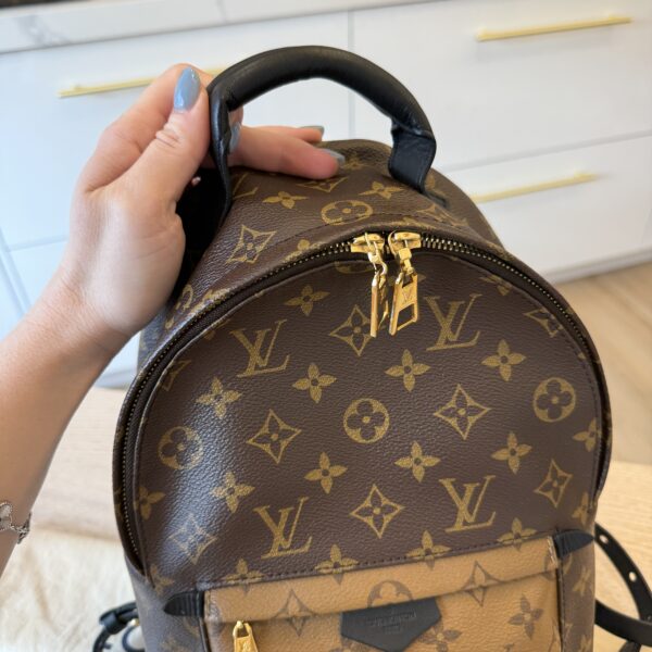 Louis Vuitton Reverse Monogram Palm Springs Backpack PM
