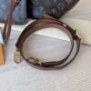 Louis Vuitton Reverse Monogram Loop Hobo