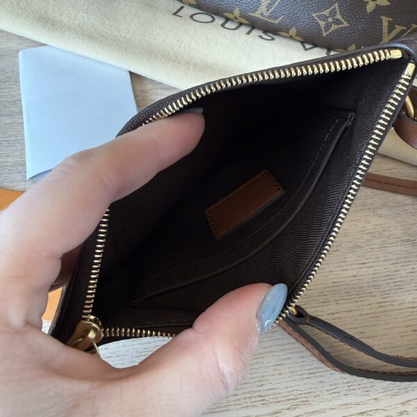 Louis Vuitton Reverse Monogram Loop Hobo