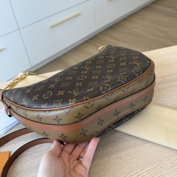 Louis Vuitton Reverse Monogram Loop Hobo