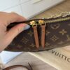 Louis Vuitton Reverse Monogram Loop Hobo