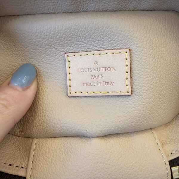 Louis Vuitton Monogram Nano Nice