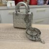 Christian Dior Metallic Grained Calfskin Cannage Small Lady Dior Silver and Silver Hardware
