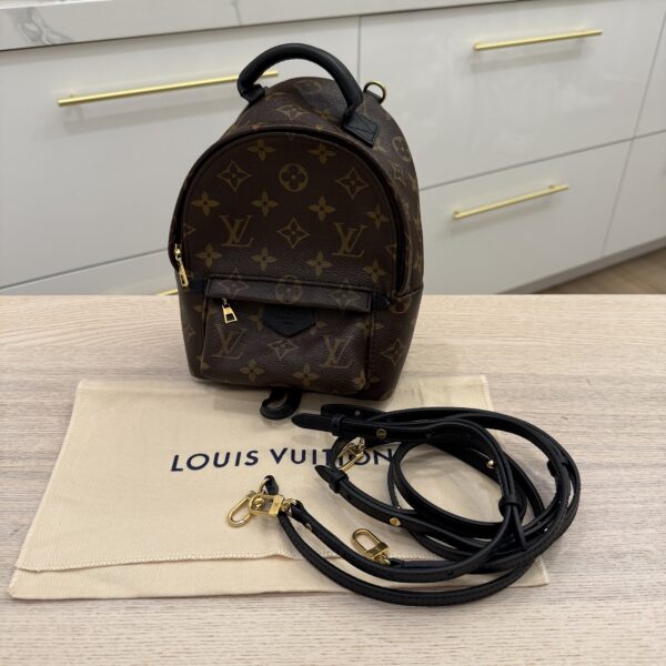 Louis Vuitton Monogram Palm Springs Mini