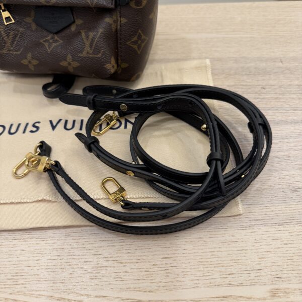 Louis Vuitton Monogram Palm Springs Mini