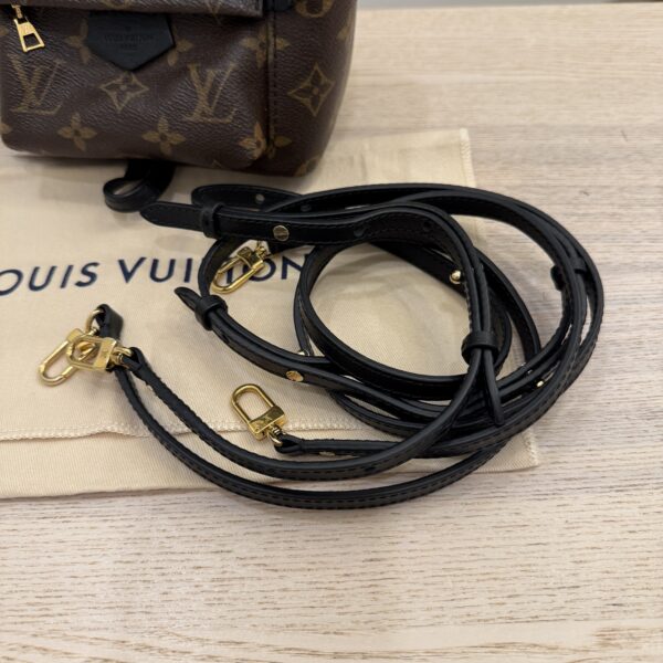 Louis Vuitton Monogram Palm Springs Mini