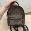 Louis Vuitton Monogram Palm Springs Mini