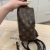 Louis Vuitton Monogram Palm Springs Mini
