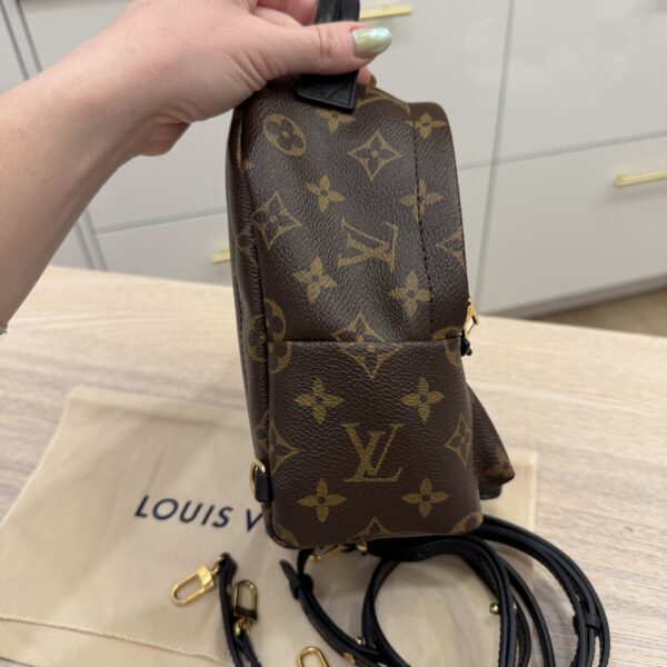Louis Vuitton Monogram Palm Springs Mini